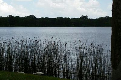 Scenic view of calm lake