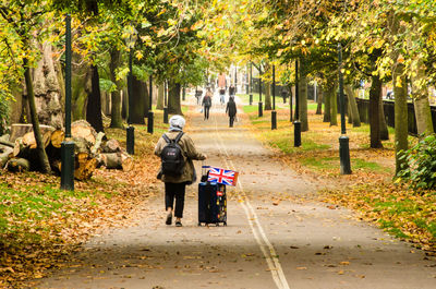Rear view of woman with luggage walking on road amidst trees