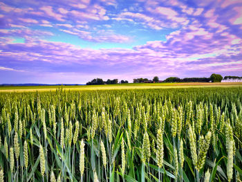 Scenic view of field against cloudy sky