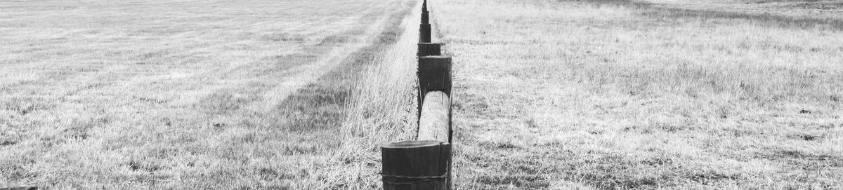 View of fence separating grass area