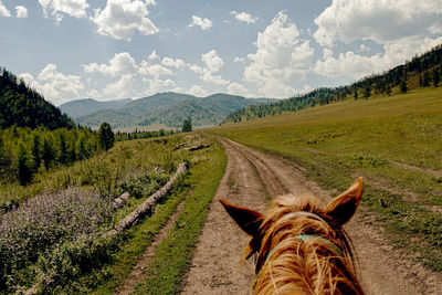 Riding horse hiking summer mountain trail