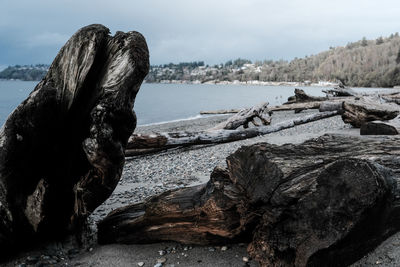 Scenic view of sea shore against sky