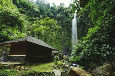 Scenic view of waterfall in forest