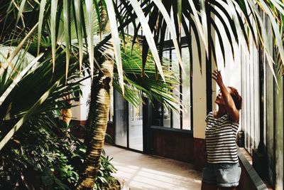 Woman reaching leaf of palm trees