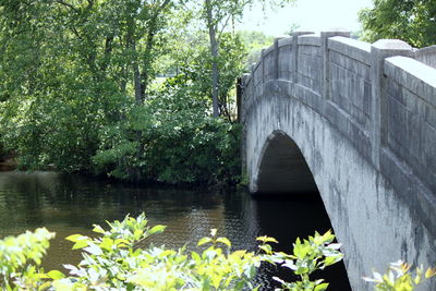 View of bridge over water