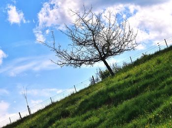 Scenic view of grassy field against cloudy sky