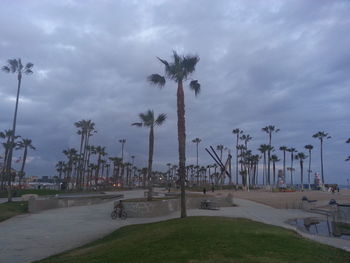 Palm trees against cloudy sky