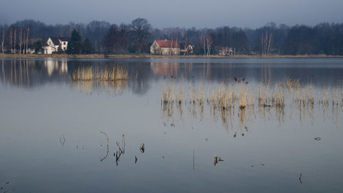 View of birds in lake