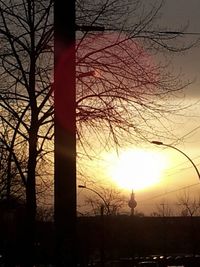 Silhouette of trees at sunset