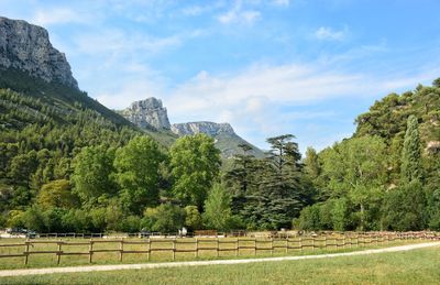 Trees on field against sky