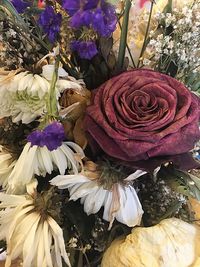 High angle view of purple roses