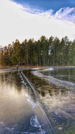 Reflection of trees in water