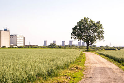 Scenic view of field against clear sky