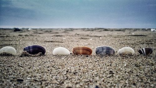 Surface level of pebbles on beach