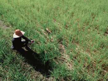 High angle view of man on field