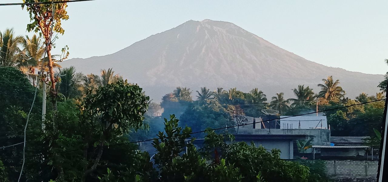 VIEW OF TREES AGAINST MOUNTAIN