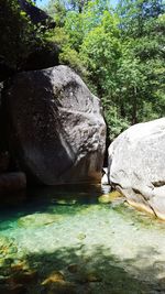 Scenic view of rocks by river in forest