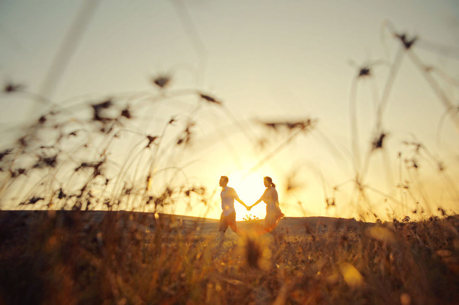 field, sunset, plant, landscape, focus on foreground, selective focus, nature, rural scene, growth, agriculture, tranquility, farm, beauty in nature, crop, grass, tranquil scene, close-up, dry, sky, sunlight