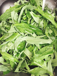 High angle view of chopped green leaf