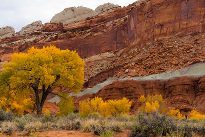 Scenic view of rocky mountains during autumn