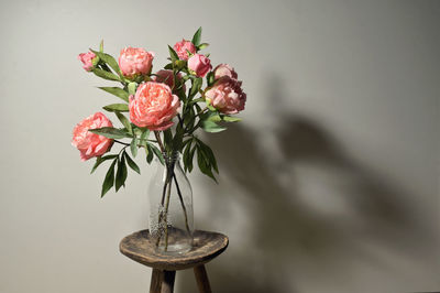 Close-up of rose plant in vase on table against wall