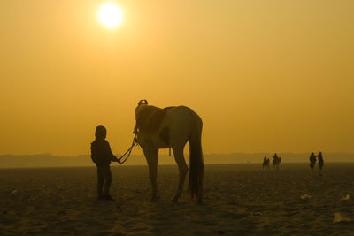 Silhouette of people on beach during sunset