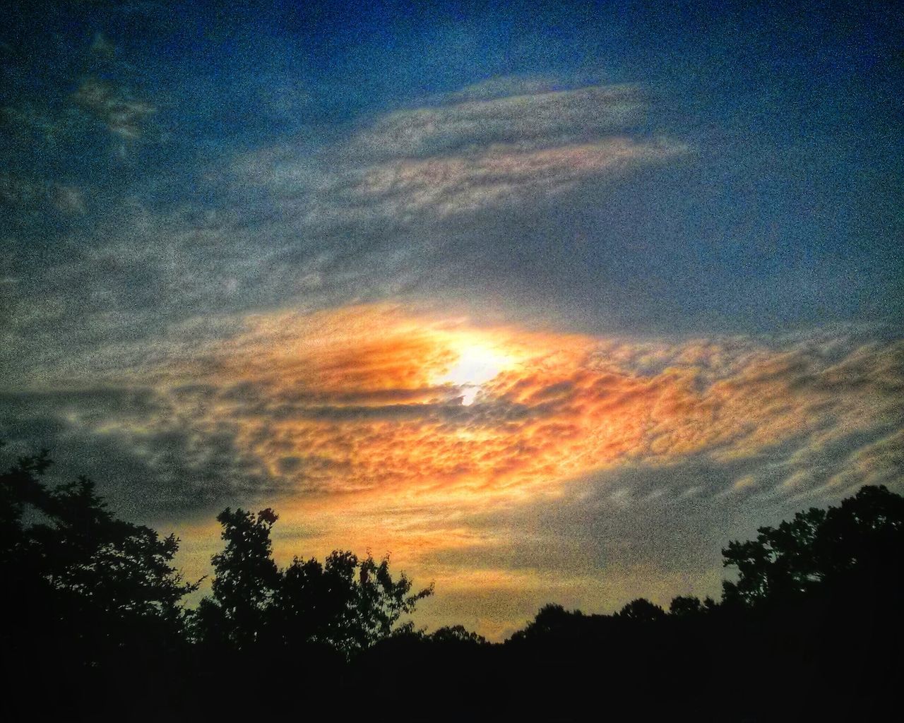 silhouette, scenics, beauty in nature, tranquility, tranquil scene, sky, tree, sunset, nature, idyllic, cloud - sky, low angle view, dark, majestic, dramatic sky, cloud, outdoors, landscape, no people, dusk