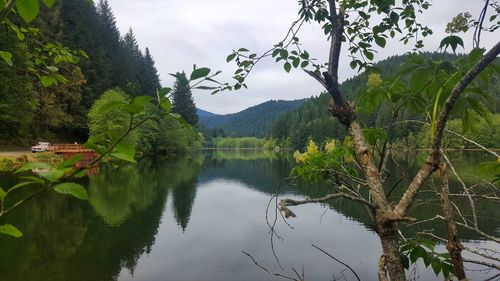 Scenic view of lake by trees against sky