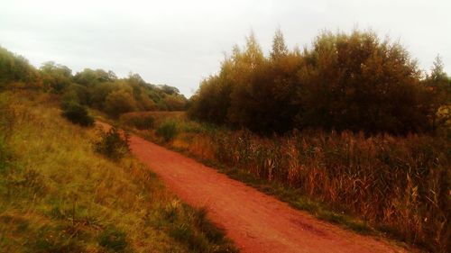 Road amidst field against sky