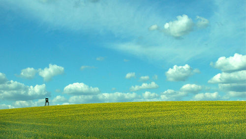 Scenic view of field against sky