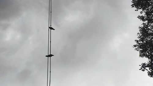 Low angle view of silhouette street light against sky