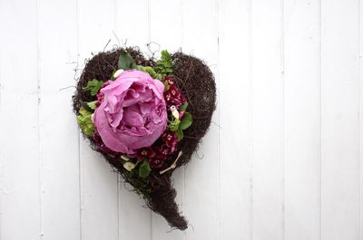 High angle view of pink rose plant