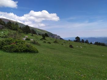 Scenic view of landscape against sky