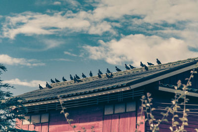 Low angle view of birds perching on building roof