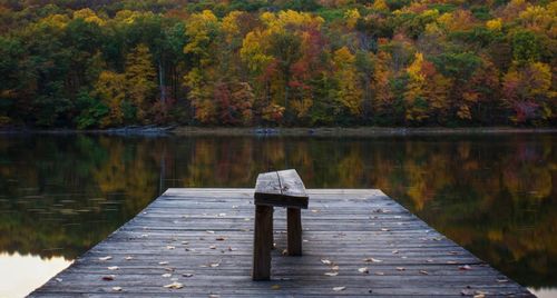 Rear view of pier on lake in front of autumn trees