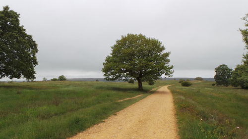 Road passing through field