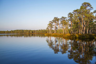 Scenic view of lake against clear sky