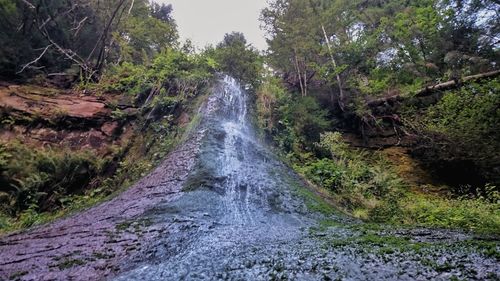 Scenic view of waterfall in forest against sky
