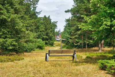 Empty bench in park