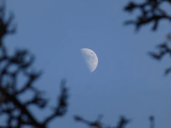 Low angle view of moon in sky