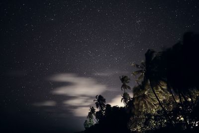 Low angle view of silhouette trees against sky at night