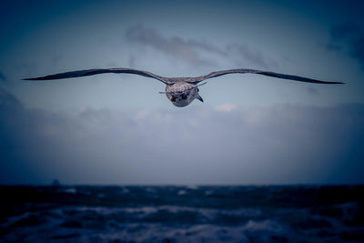 Seagulls flying over sea against sky