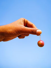 Midsection of person holding apple against blue sky