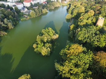 High angle view of river amidst trees