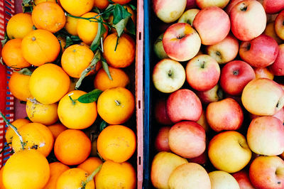 High angle view of apples and oranges in container at market for sale
