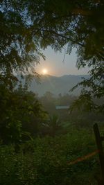 Scenic view of field against sky during sunset