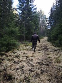 Rear view of man walking on footpath in forest