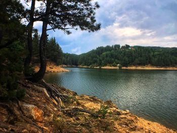 Scenic view of lake by trees against sky