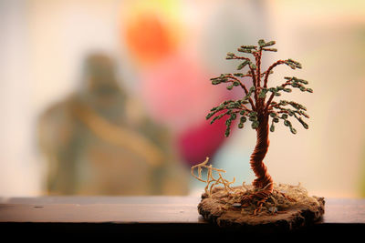 Close-up of potted plant on window sill