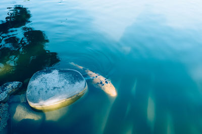 Underwater view of sea